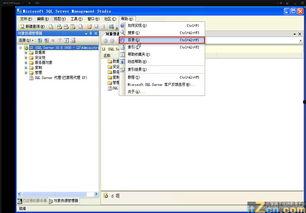 数据库视频,从入门到精通
