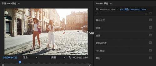 pr视频调色,打造专业色彩效果