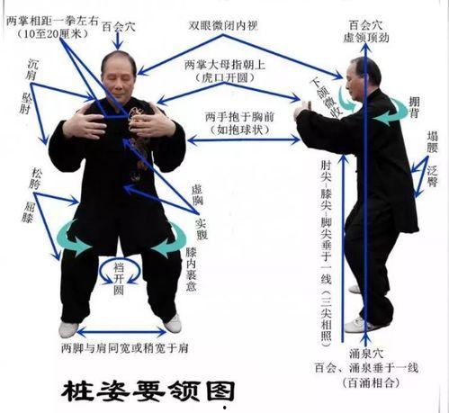 站桩视频教学,轻松入门，体验传统养生之道