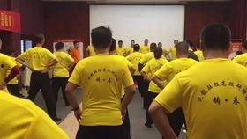 站桩视频教学,轻松入门，体验传统养生之道