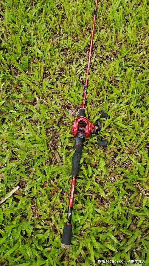 水滴轮新手教学视频,新手必看教学视频解析