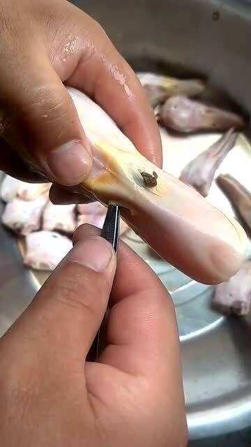 吃鸭头视频,视频带你领略独特风味