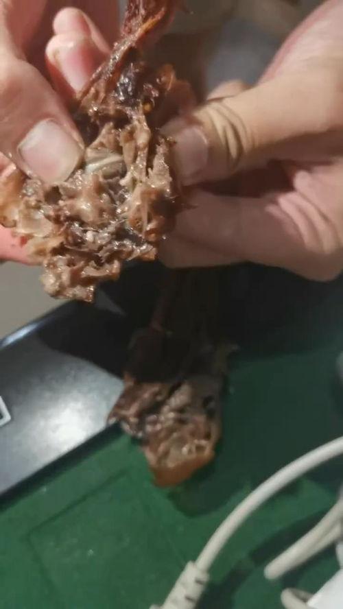 吃鸭头视频,视频带你领略独特风味