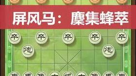 象棋飞刀视频,象棋飞刀视频深度解析