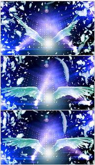 翅膀舞蹈视频,一场视觉与情感的盛宴