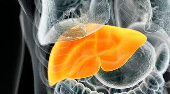 脂肪肝视频,揭秘成因、症状及防治策略