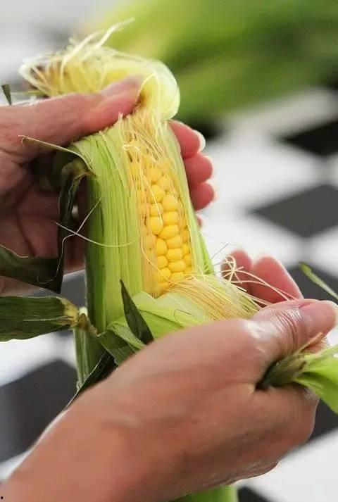 吃玉米视频,一场视觉与味蕾的双重享受