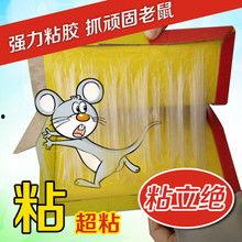 粘鼠板视频,揭秘高效捕鼠小技巧