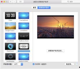 屏保视频,捕捉光影瞬间，展现视觉盛宴