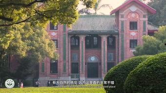 中山大学视频,探索学术与创新的璀璨明珠