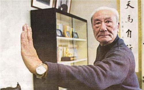 蔡龙云罗汉十八手视频,传统武术精髓的传承与演绎