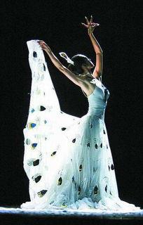 杨丽萍孔雀舞视频,舞动生命，绽放东方之美